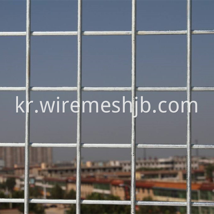 Steel Wire Mesh